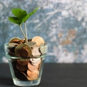 Pflanze wächst aus Glas gefüllt mit Kupfermünzen.